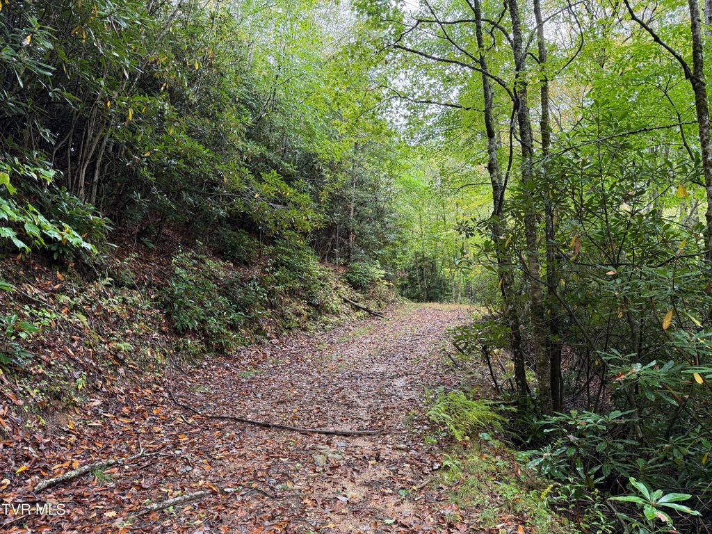 Photo of Tbd Clarktown Road, Roan Mountain, TN 37687 (MLS # 9986667)