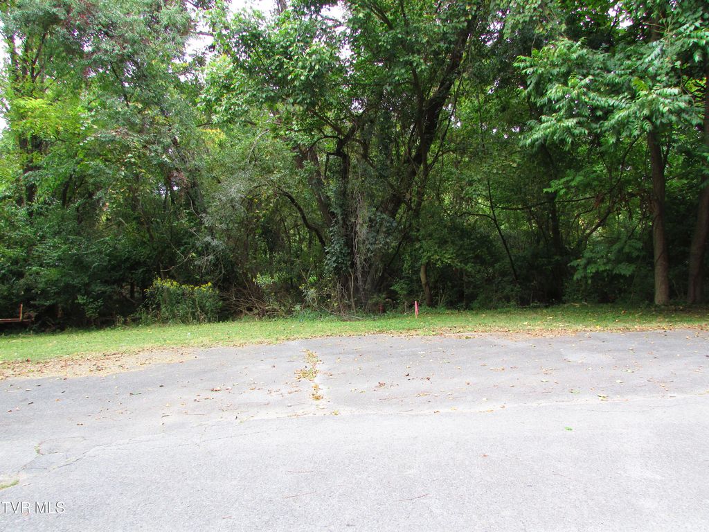 Photo of 700 Riverside Drive, Elizabethton, TN 37643 (MLS # 9985922)