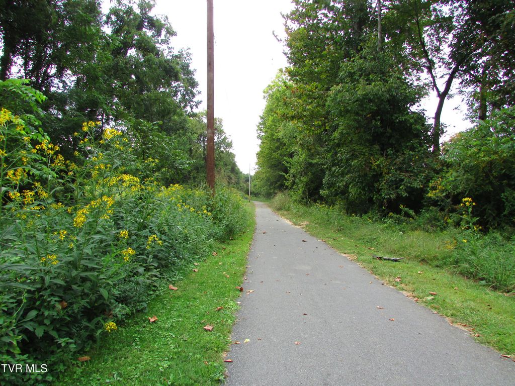 Photo of 700 Riverside Drive, Elizabethton, TN 37643 (MLS # 9985922)