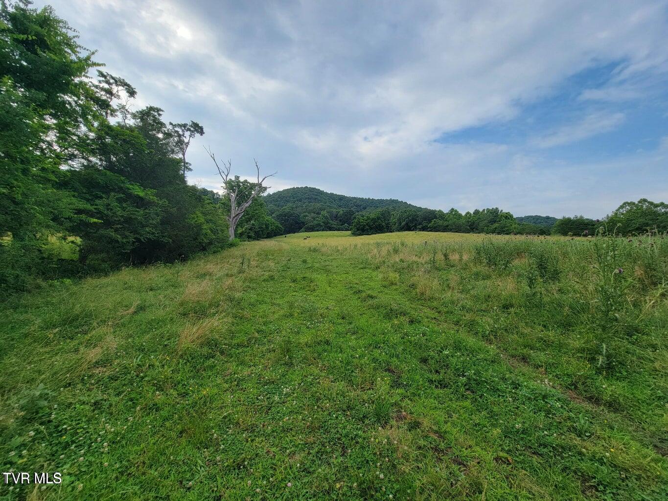 128 Dogwood Lane, Whitesburg, Tennessee image 50