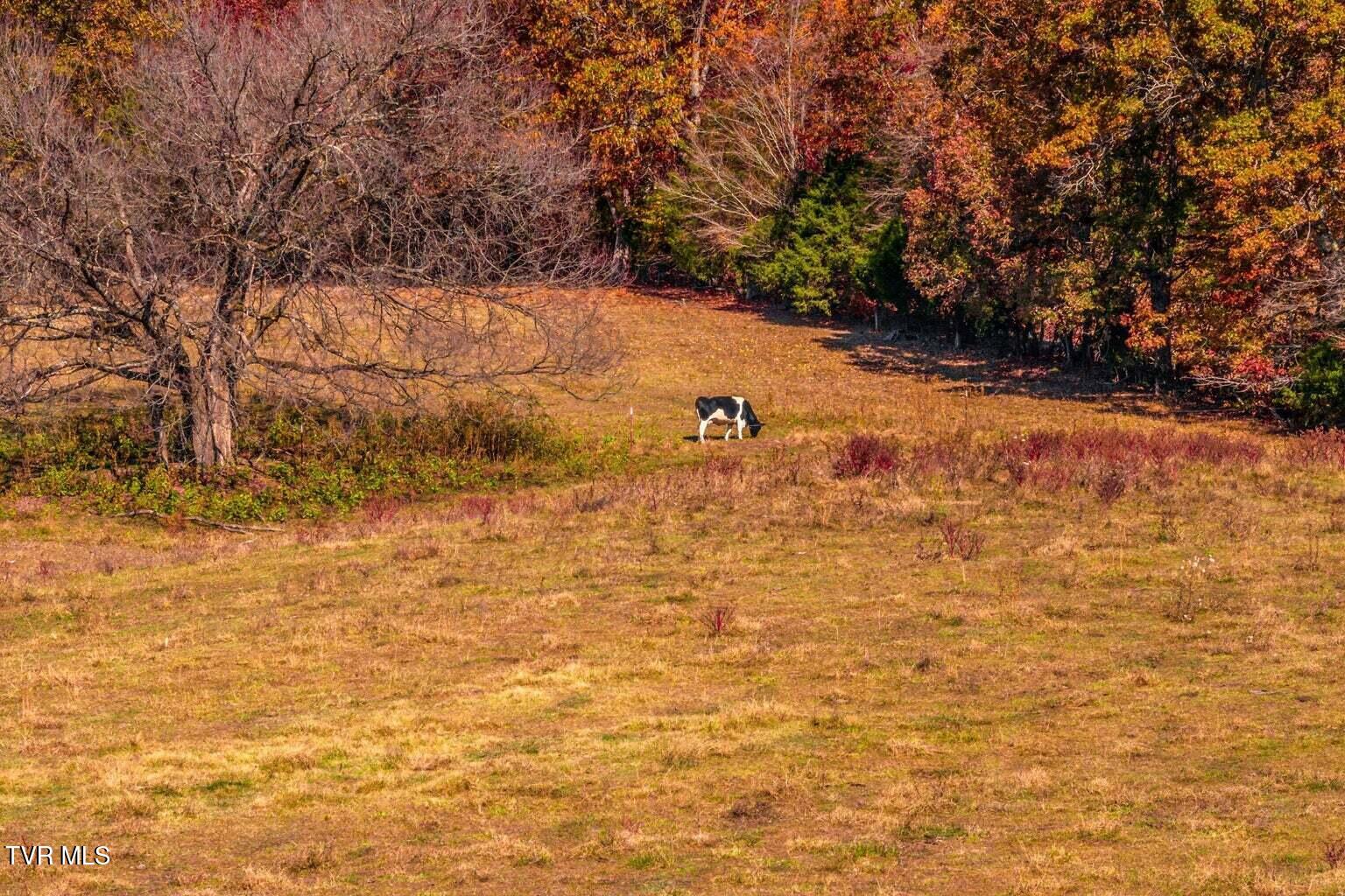 128 Dogwood Lane, Whitesburg, Tennessee image 13