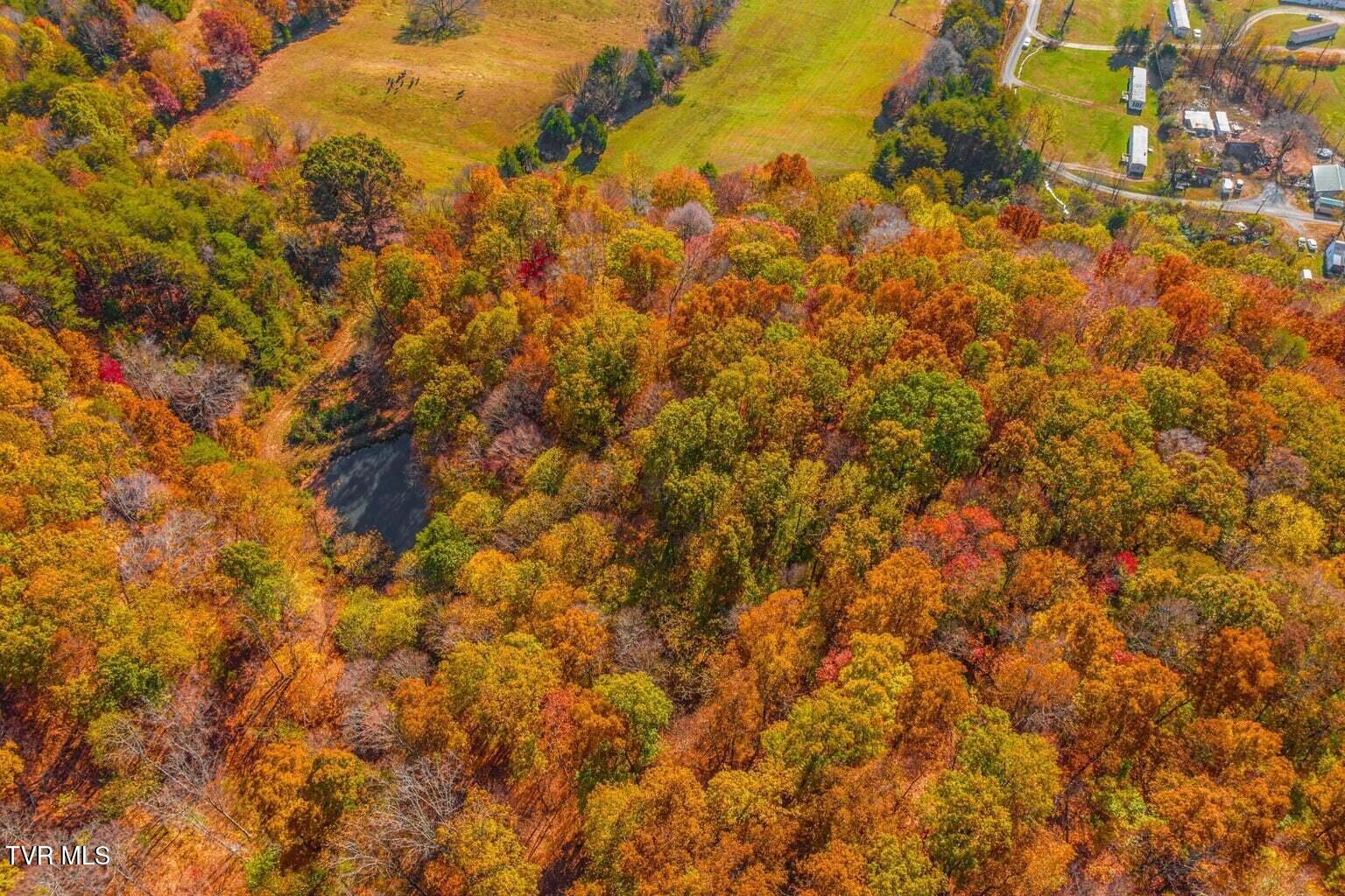 128 Dogwood Lane, Whitesburg, Tennessee image 21