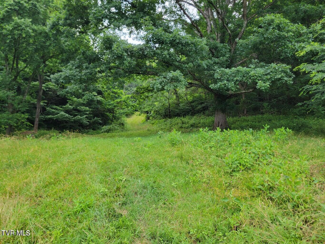 128 Dogwood Lane, Whitesburg, Tennessee image 40