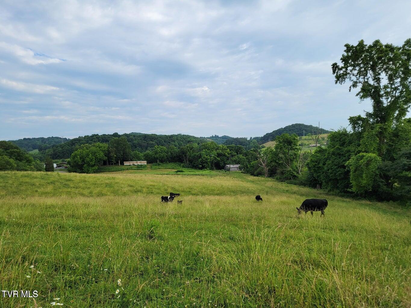 128 Dogwood Lane, Whitesburg, Tennessee image 42