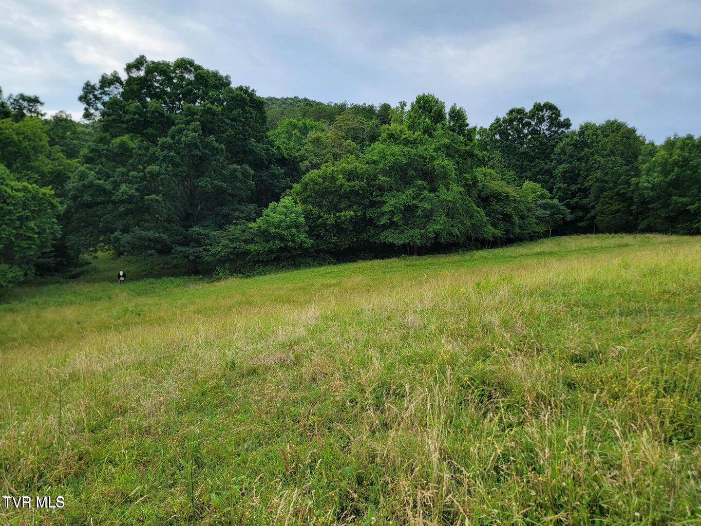128 Dogwood Lane, Whitesburg, Tennessee image 43