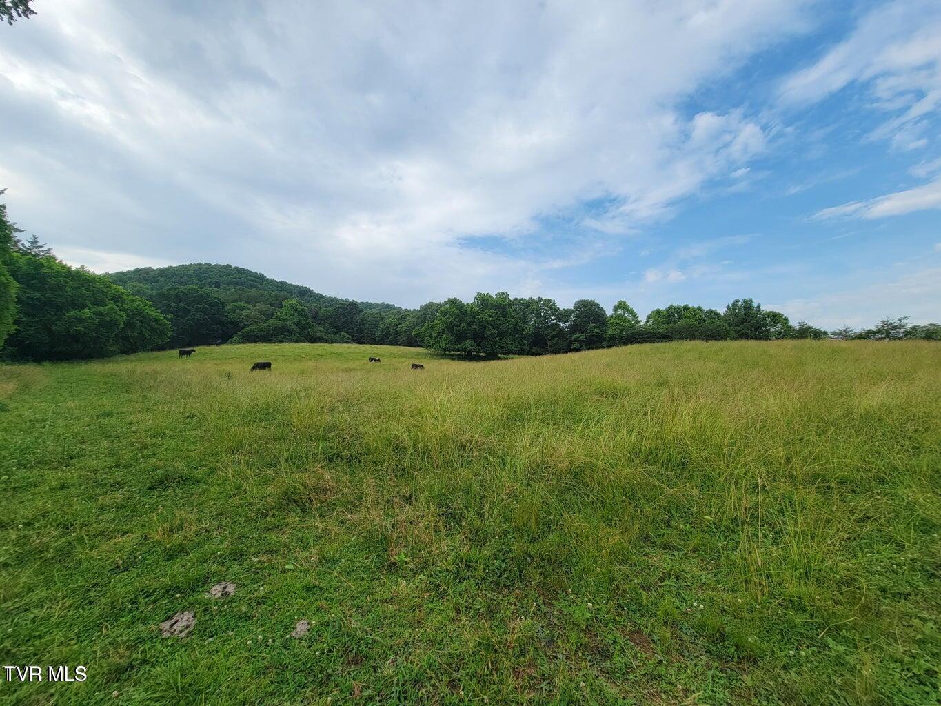 128 Dogwood Lane, Whitesburg, Tennessee image 47