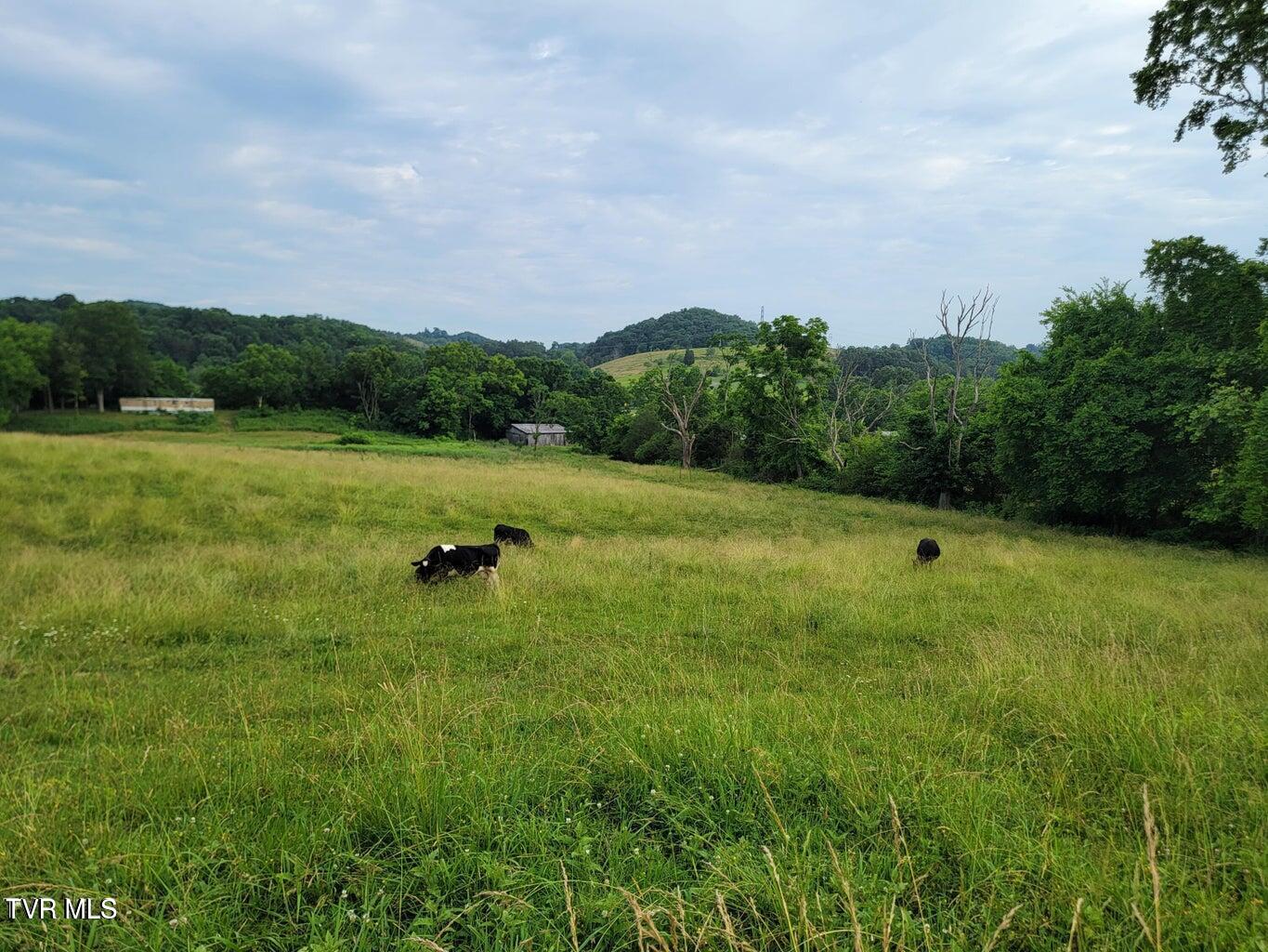 128 Dogwood Lane, Whitesburg, Tennessee image 44