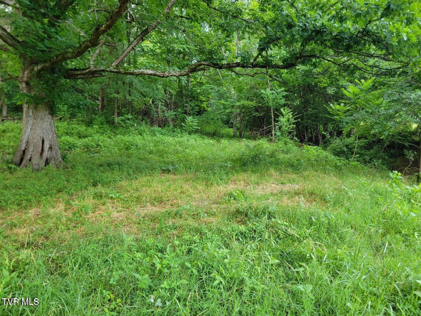 128 Dogwood Lane, Whitesburg, Tennessee image 39