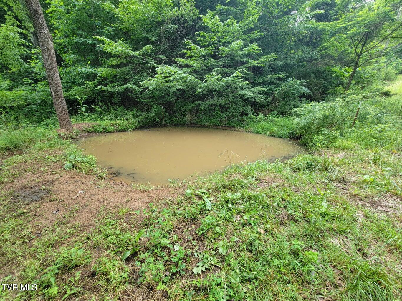 128 Dogwood Lane, Whitesburg, Tennessee image 38