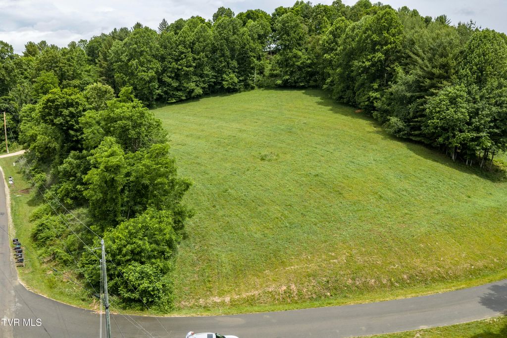 Photo of 2 High Country Rd Pvt Road, Butler, TN 37640 (MLS # 9995577)