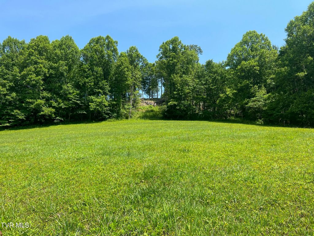 Photo of 2 High Country Rd Pvt Road, Butler, TN 37640 (MLS # 9995577)