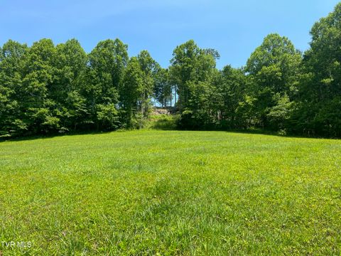 Photo of 2 High Country Rd Pvt Road, Butler, TN 37640 (MLS # 9995577)