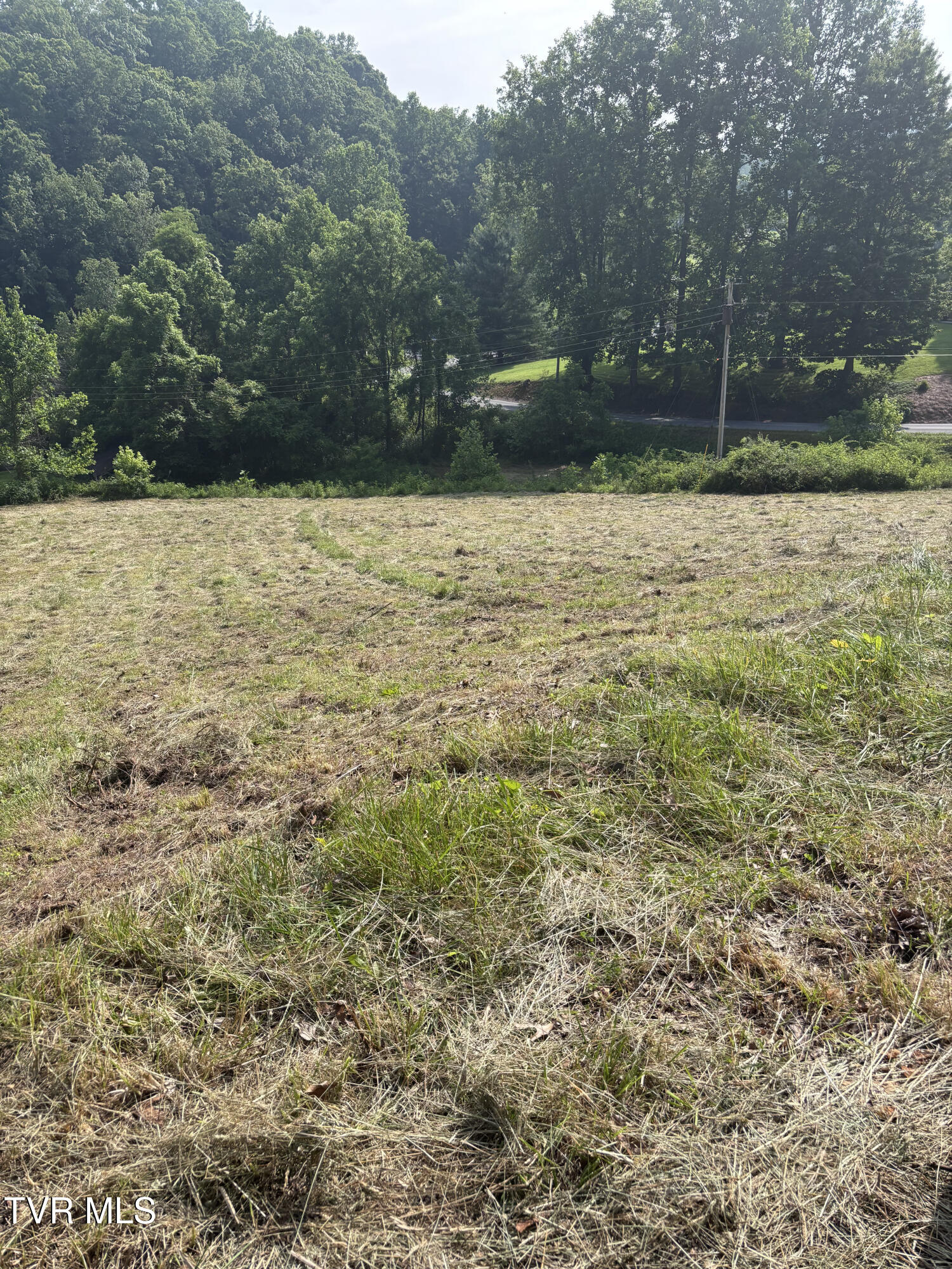 Tr 1 Marbleton Road, Unicoi, Tennessee image 13