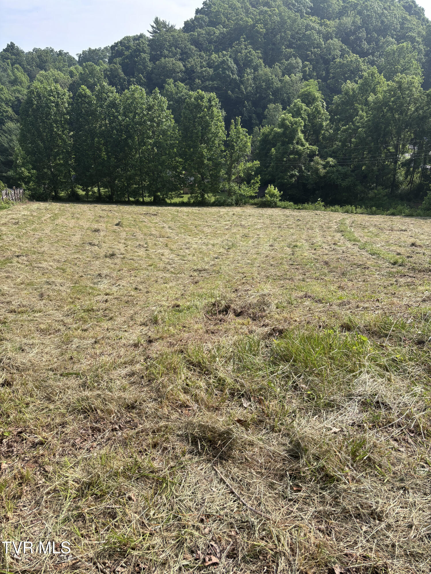 Tr 1 Marbleton Road, Unicoi, Tennessee image 9
