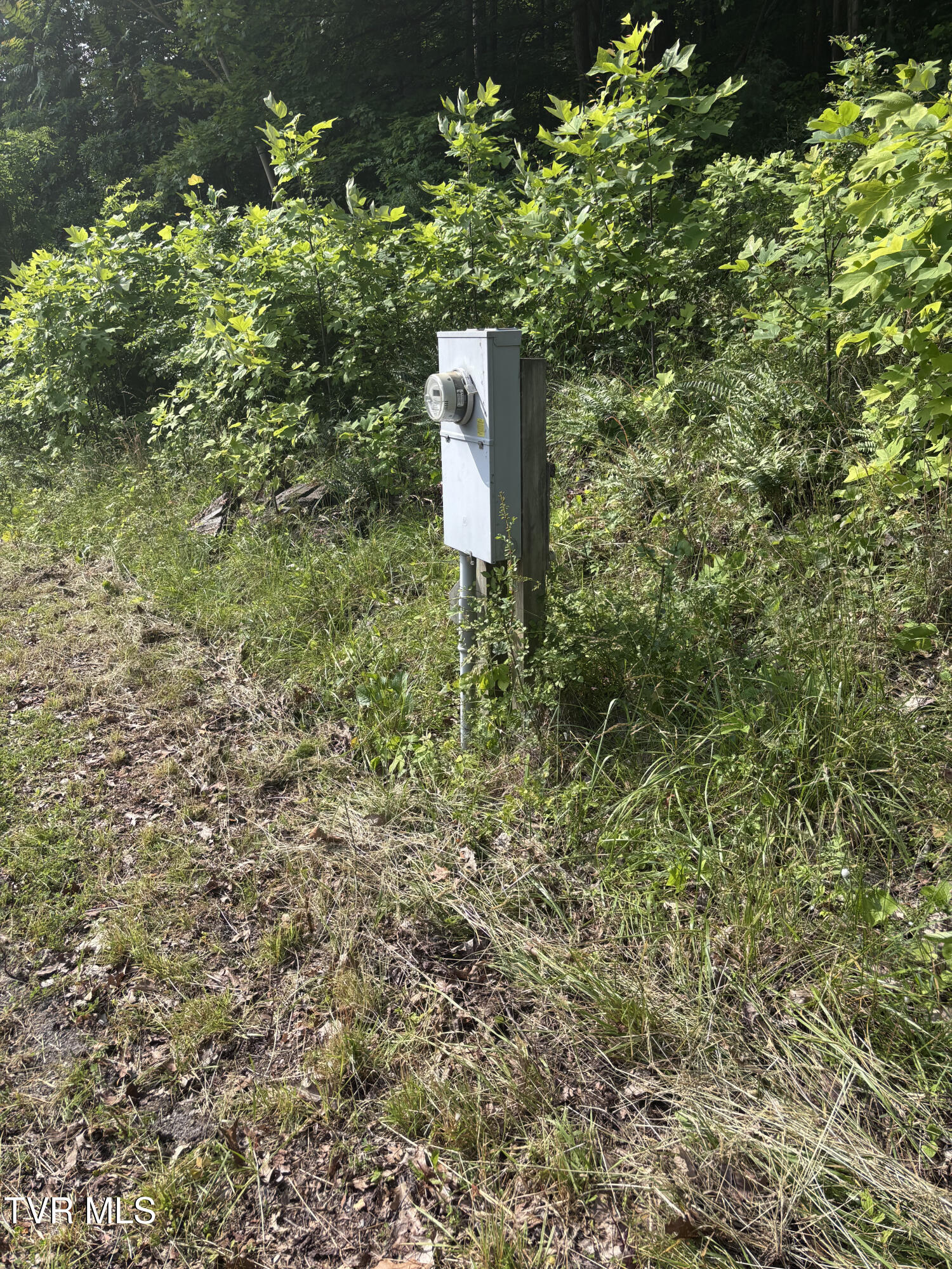 Tr 1 Marbleton Road, Unicoi, Tennessee image 14