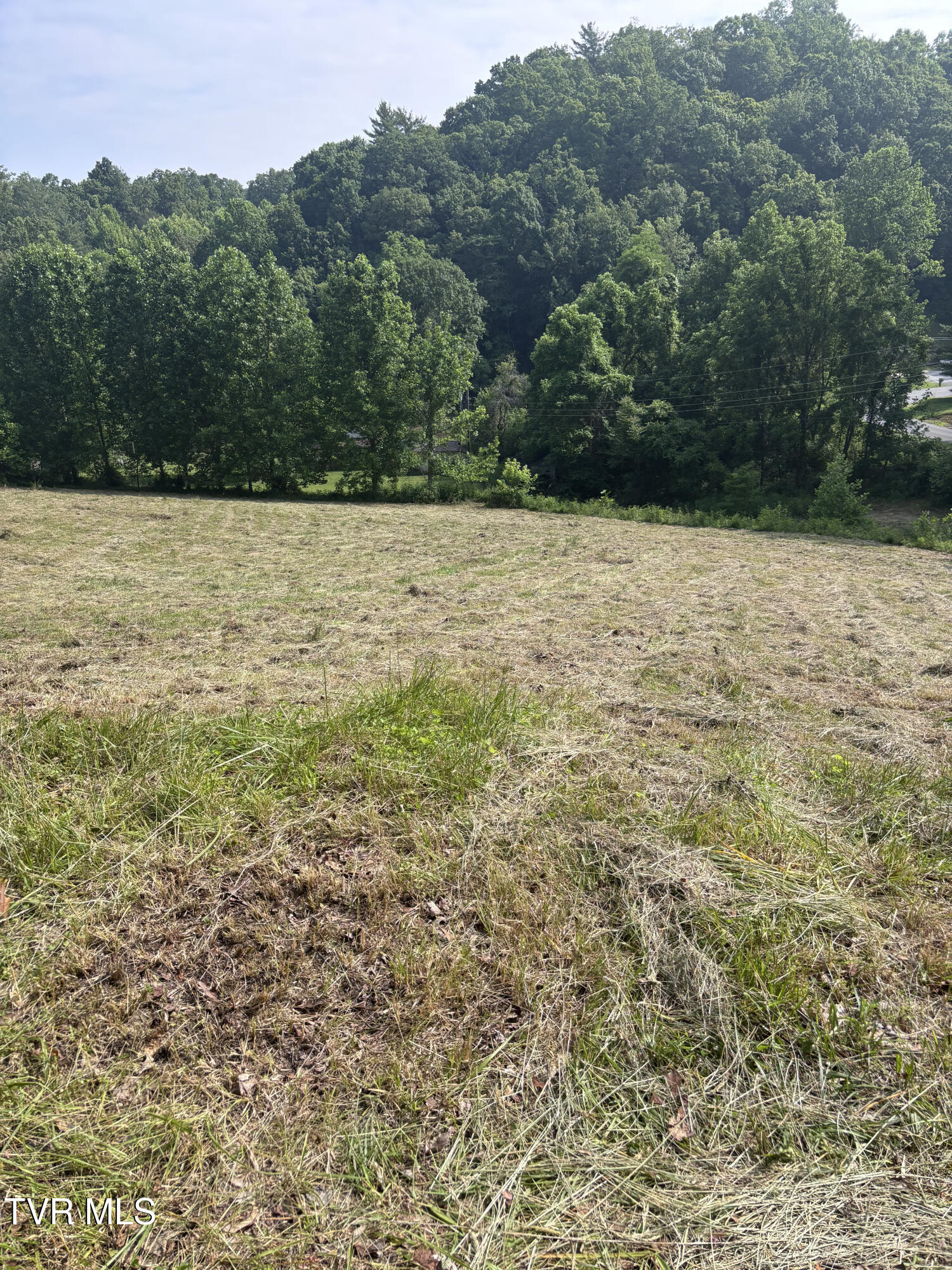 Tr 1 Marbleton Road, Unicoi, Tennessee image 6
