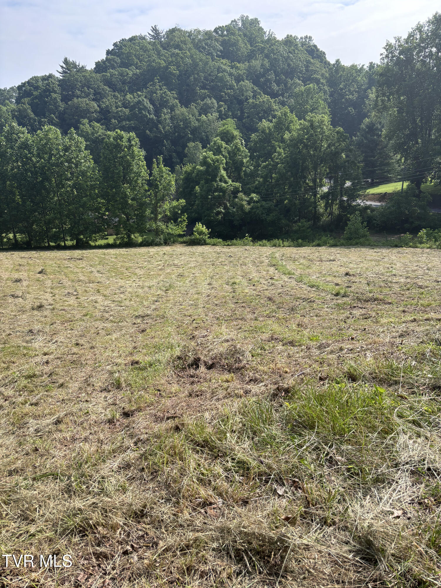 Tr 1 Marbleton Road, Unicoi, Tennessee image 11