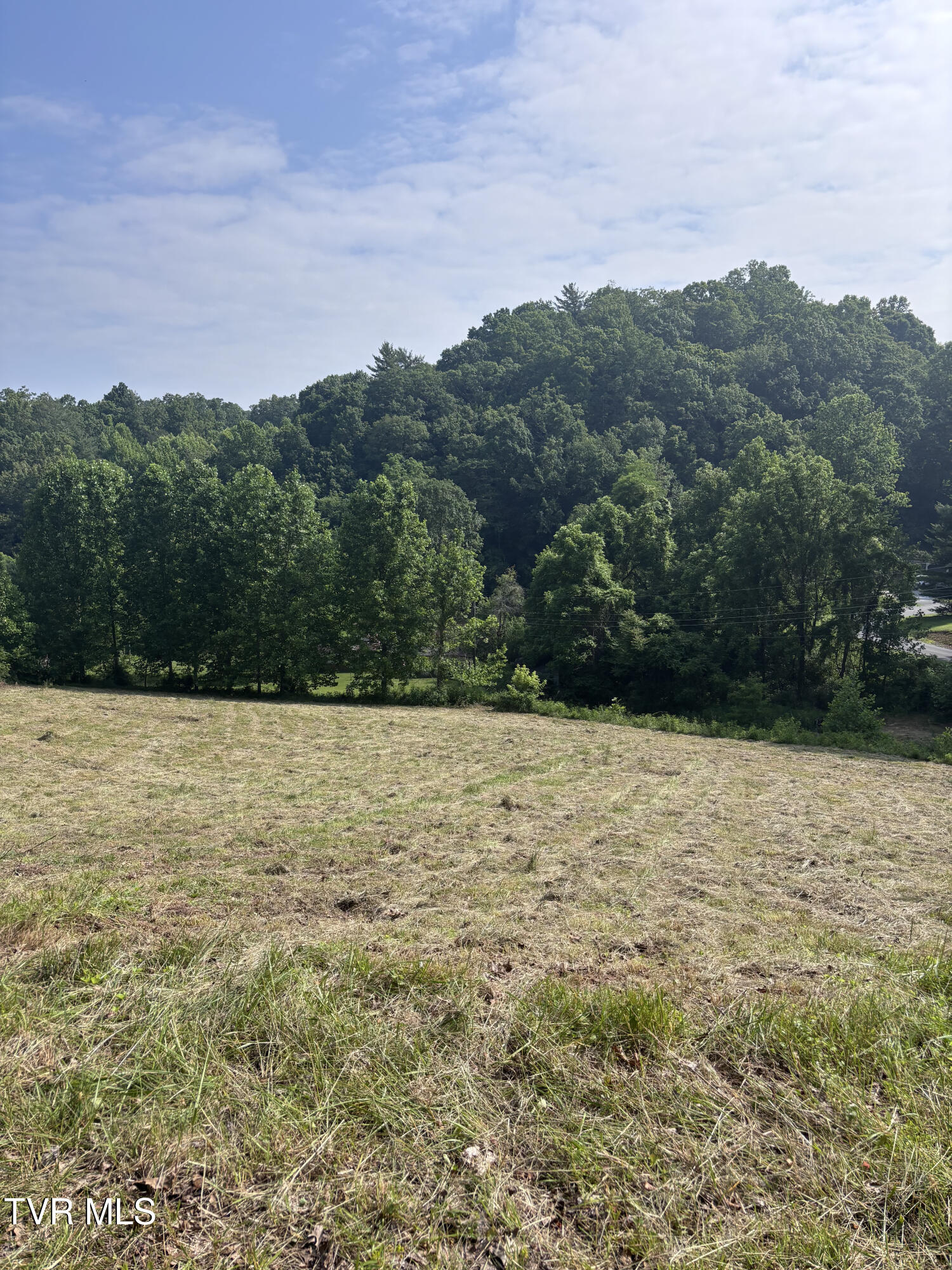 Tr 1 Marbleton Road, Unicoi, Tennessee image 3