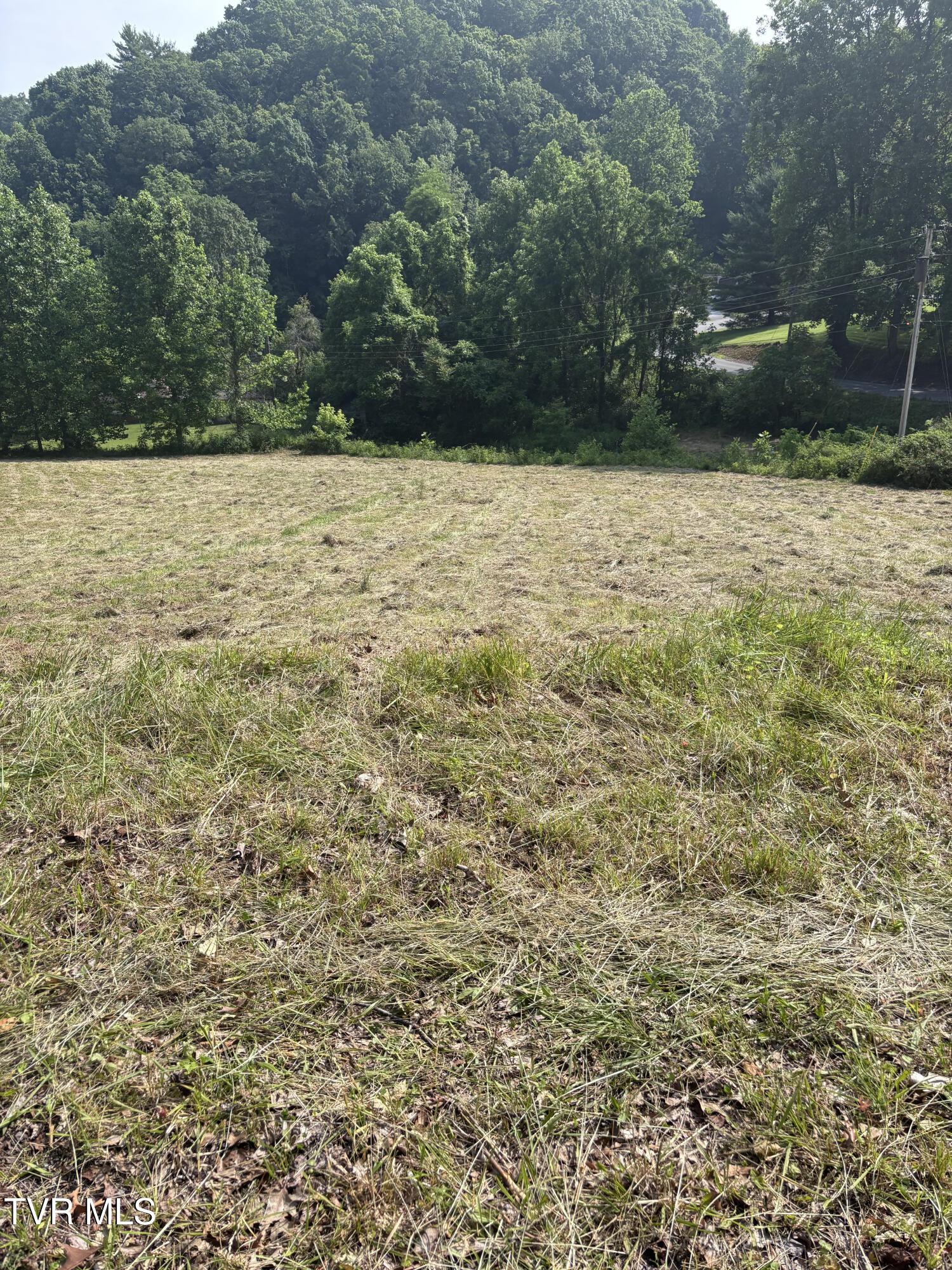 Tr 1 Marbleton Road, Unicoi, Tennessee image 15