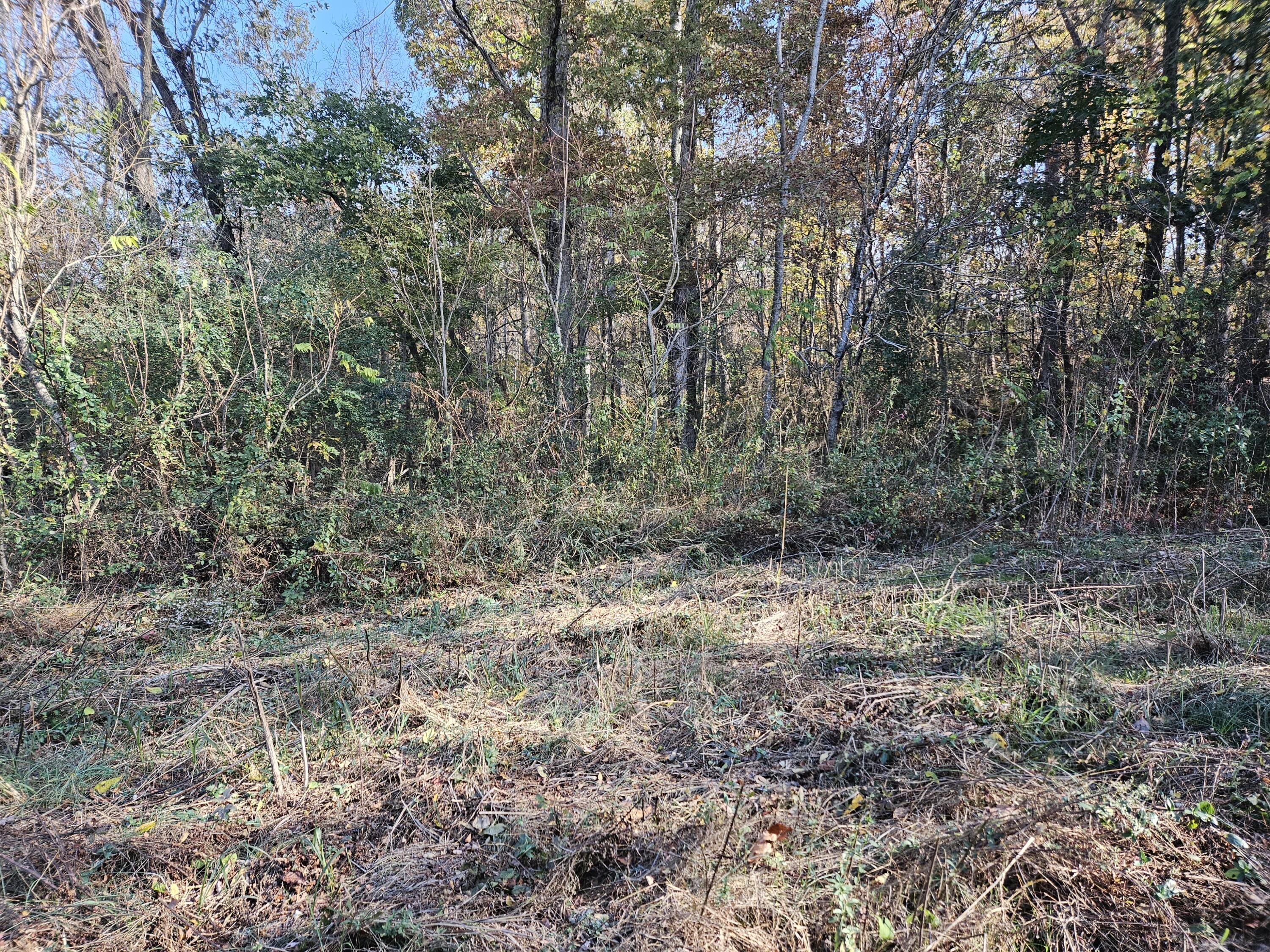 Rheatown Rd, Chuckey, Tennessee image 3