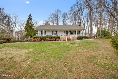 Photo of 455 Brian Circle, Afton, TN 37616 (MLS # 9992046)