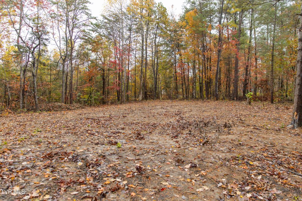 Photo of Tbd Bill Martin Road, Afton, TN 37616 (MLS # 9987769)