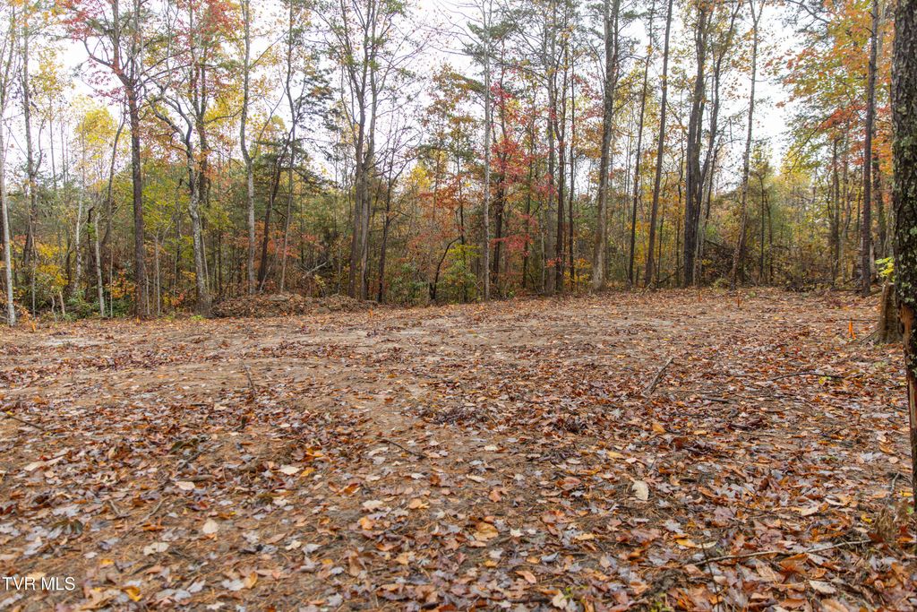Photo of Tbd Bill Martin Road, Afton, TN 37616 (MLS # 9987769)