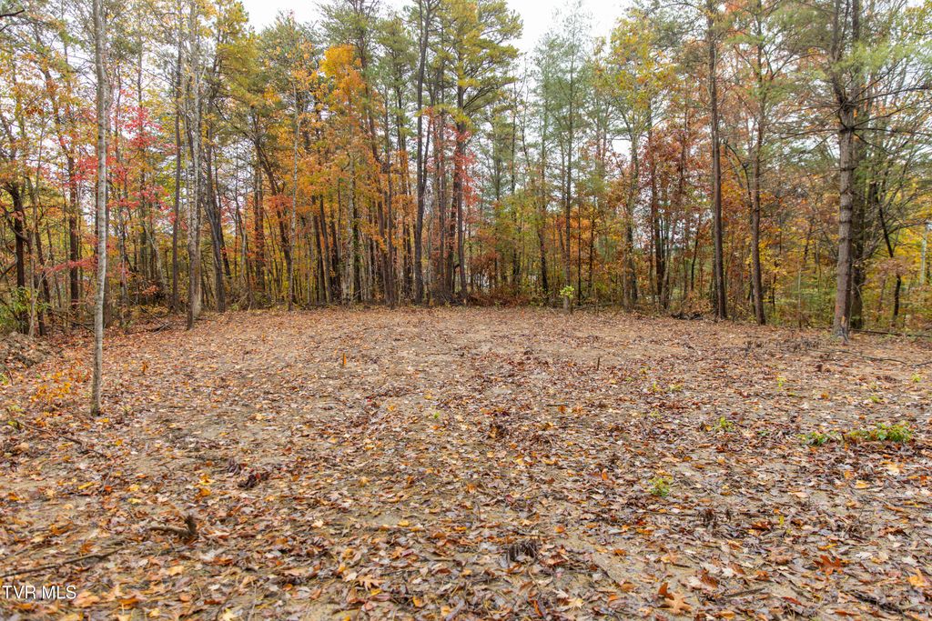 Photo of Tbd Bill Martin Road, Afton, TN 37616 (MLS # 9987769)