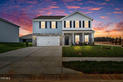 Photo of 339 Cookie Loop, Johnson City, TN 37615 (MLS # 9988786)