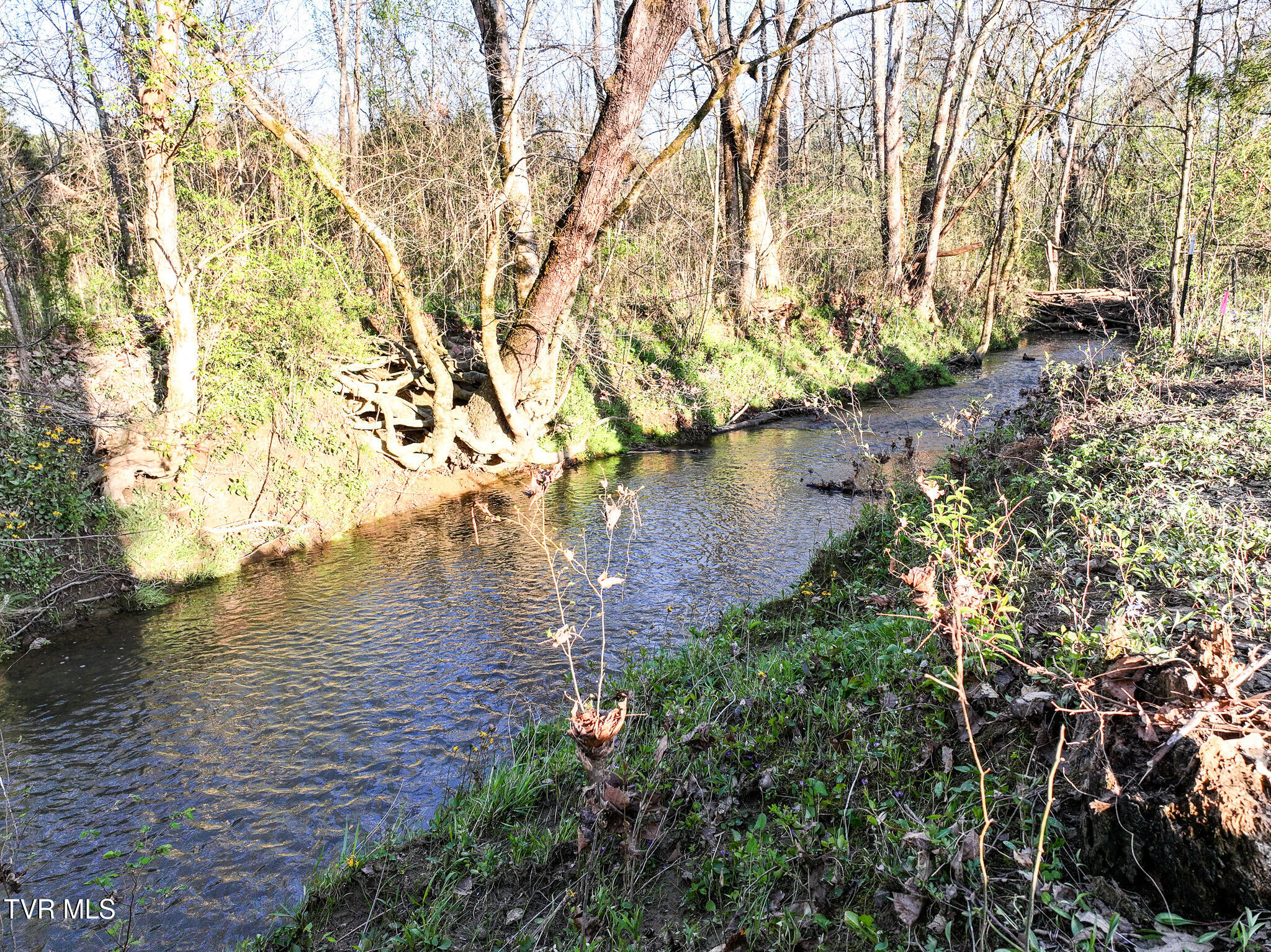 1560 Delta Valley Rd Rd, Greeneville, Tennessee image 4
