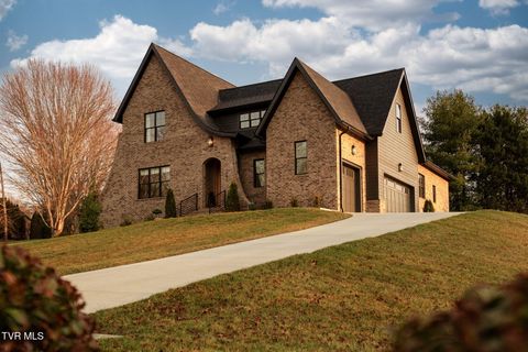 Photo of 302 Huntington Way, Johnson City, TN 37604 (MLS # 9992185)