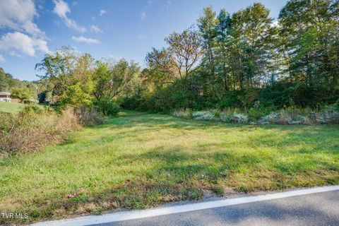 Vacant Land For Sale - TBD Clinch River Highway<br/> Scott County, Fort Blackmore, VA 24250