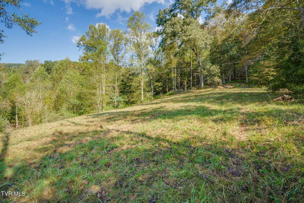 Photo of Tbd Clinch River Highway, Fort Blackmore, VA 24250 (MLS # 9986692)