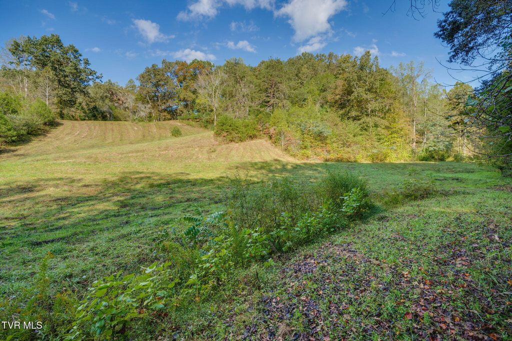 Photo of Tbd Clinch River Highway, Fort Blackmore, VA 24250 (MLS # 9986692)