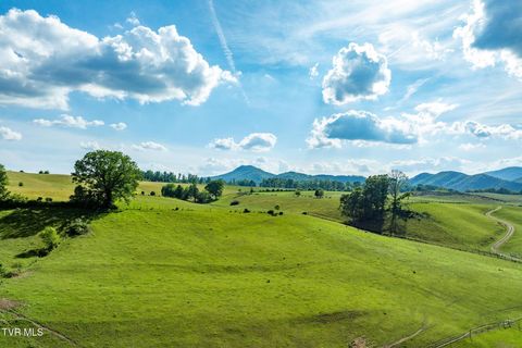 Vacant Land For Sale - TBD Stout Branch Road<br/> Mountain City, TN 37683