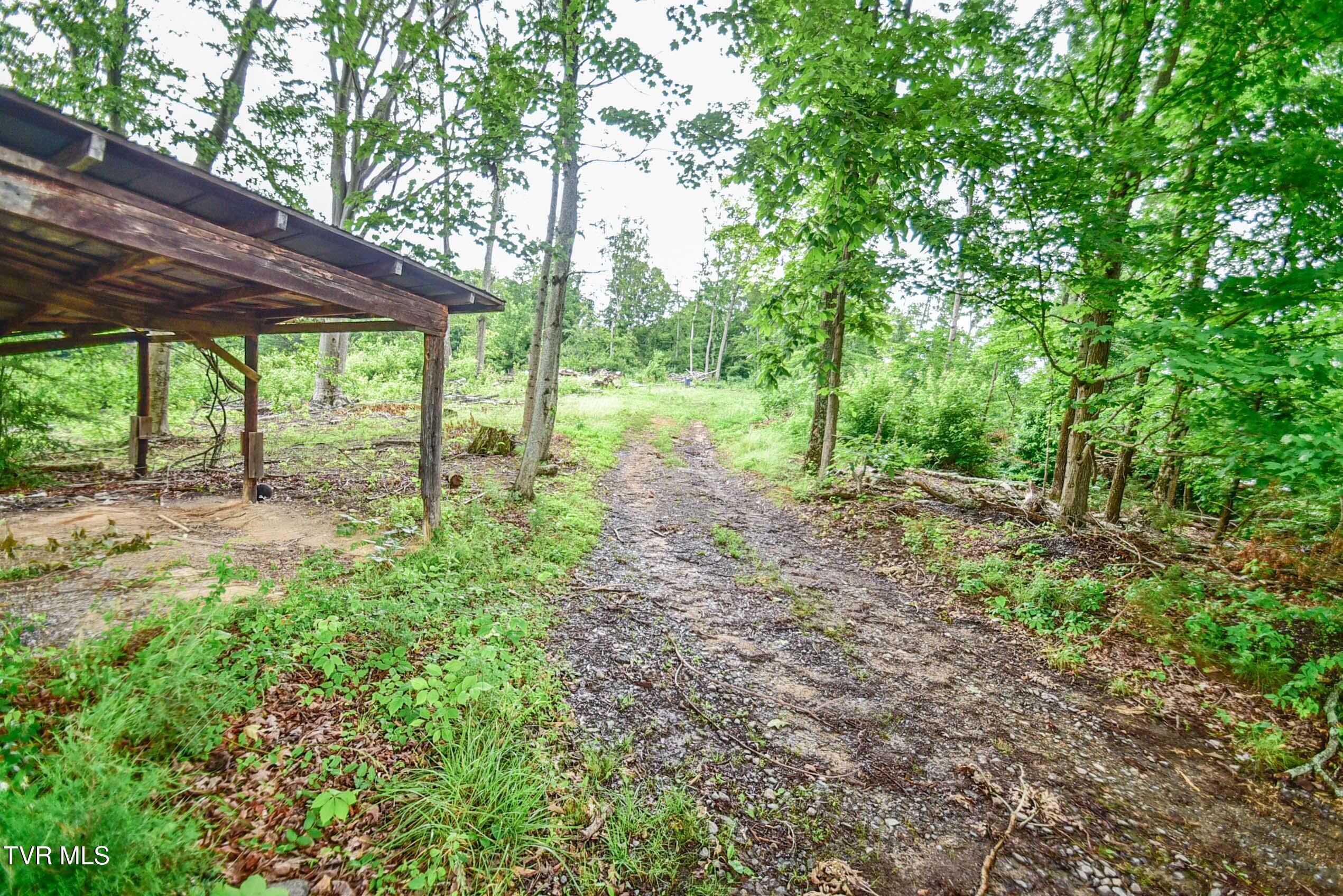 184/202 Sandidge Hollow Road, Surgoinsville, Tennessee image 34