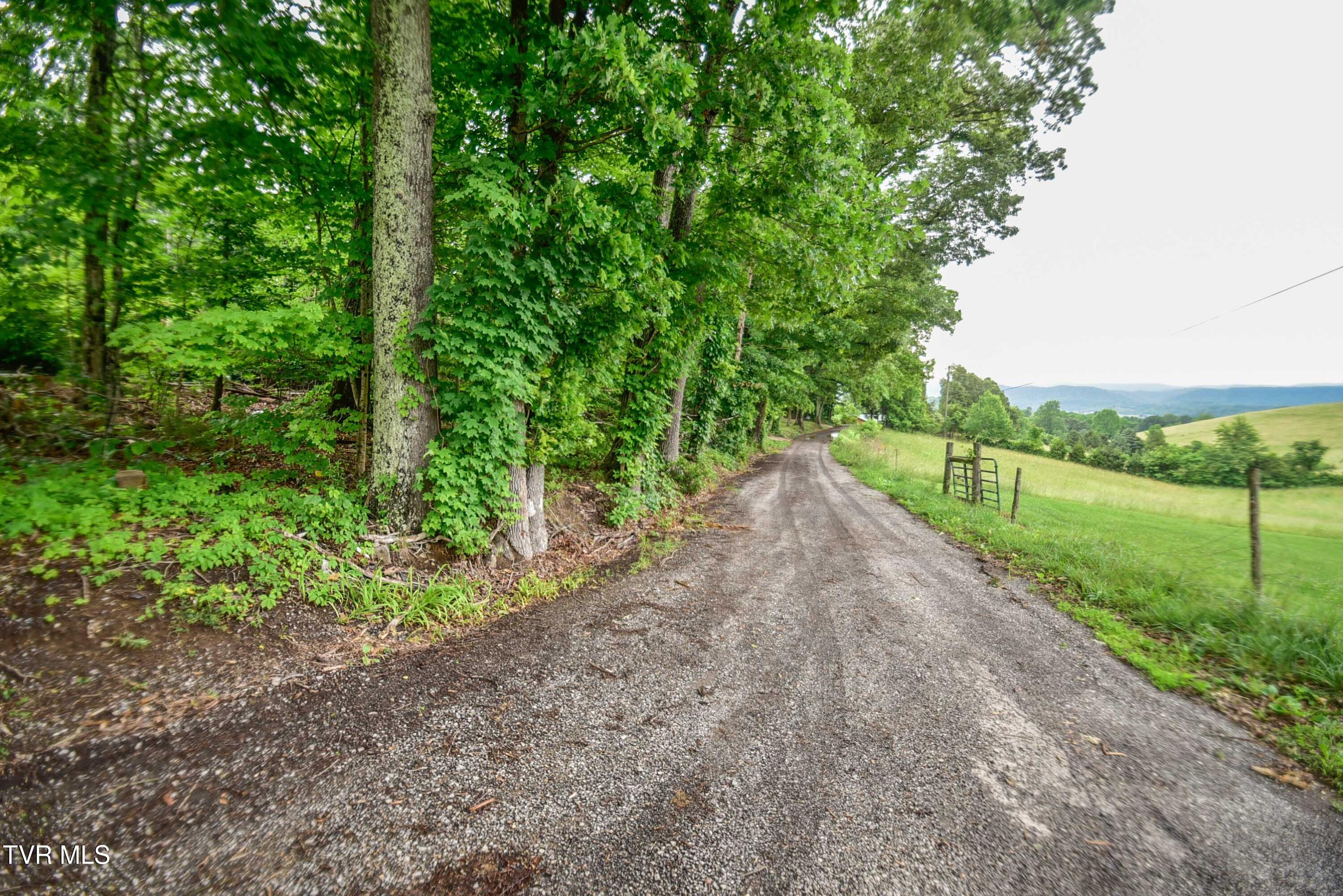 184/202 Sandidge Hollow Road, Surgoinsville, Tennessee image 35