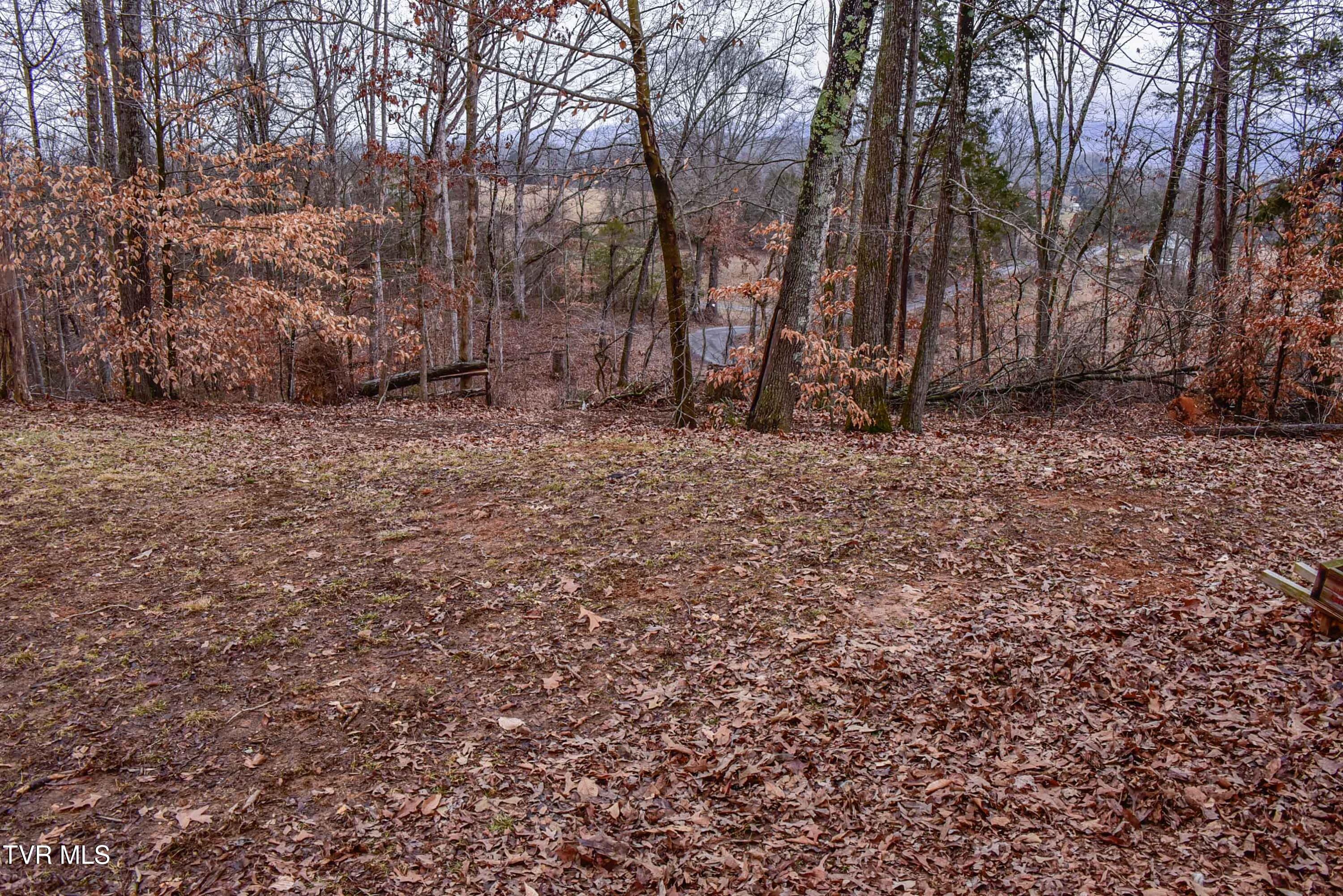 184/202 Sandidge Hollow Road, Surgoinsville, Tennessee image 26