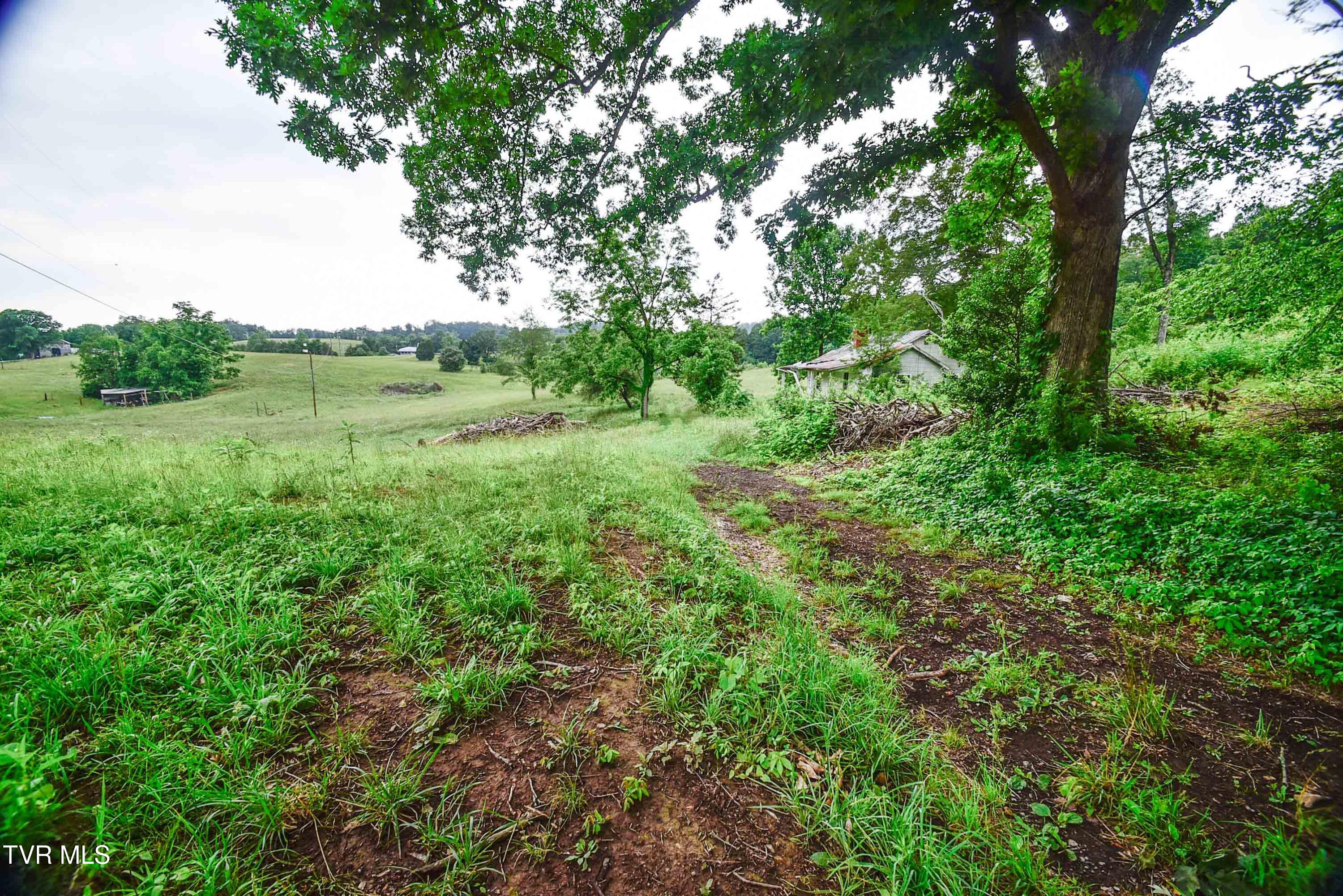 184/202 Sandidge Hollow Road, Surgoinsville, Tennessee image 32