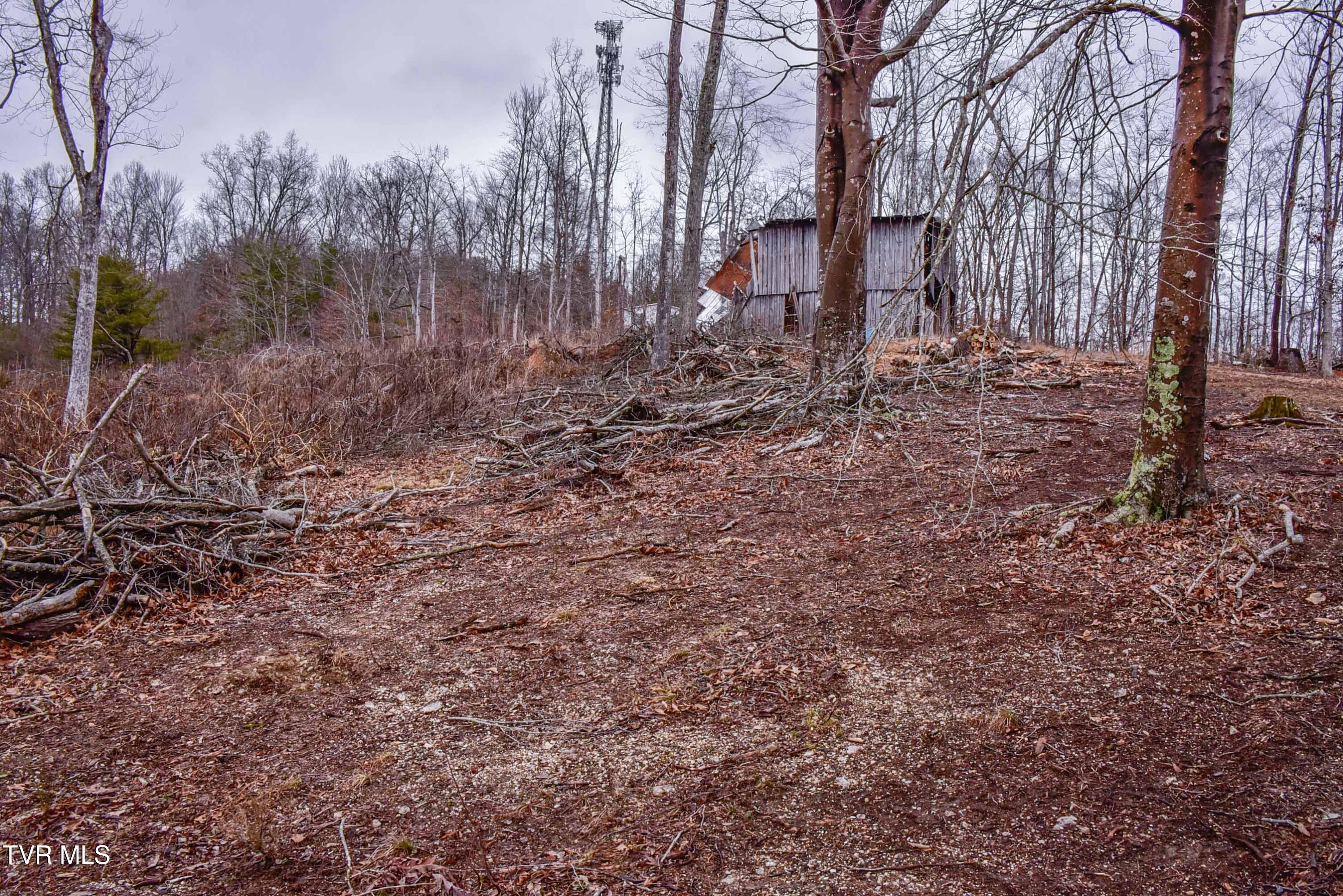 184/202 Sandidge Hollow Road, Surgoinsville, Tennessee image 30