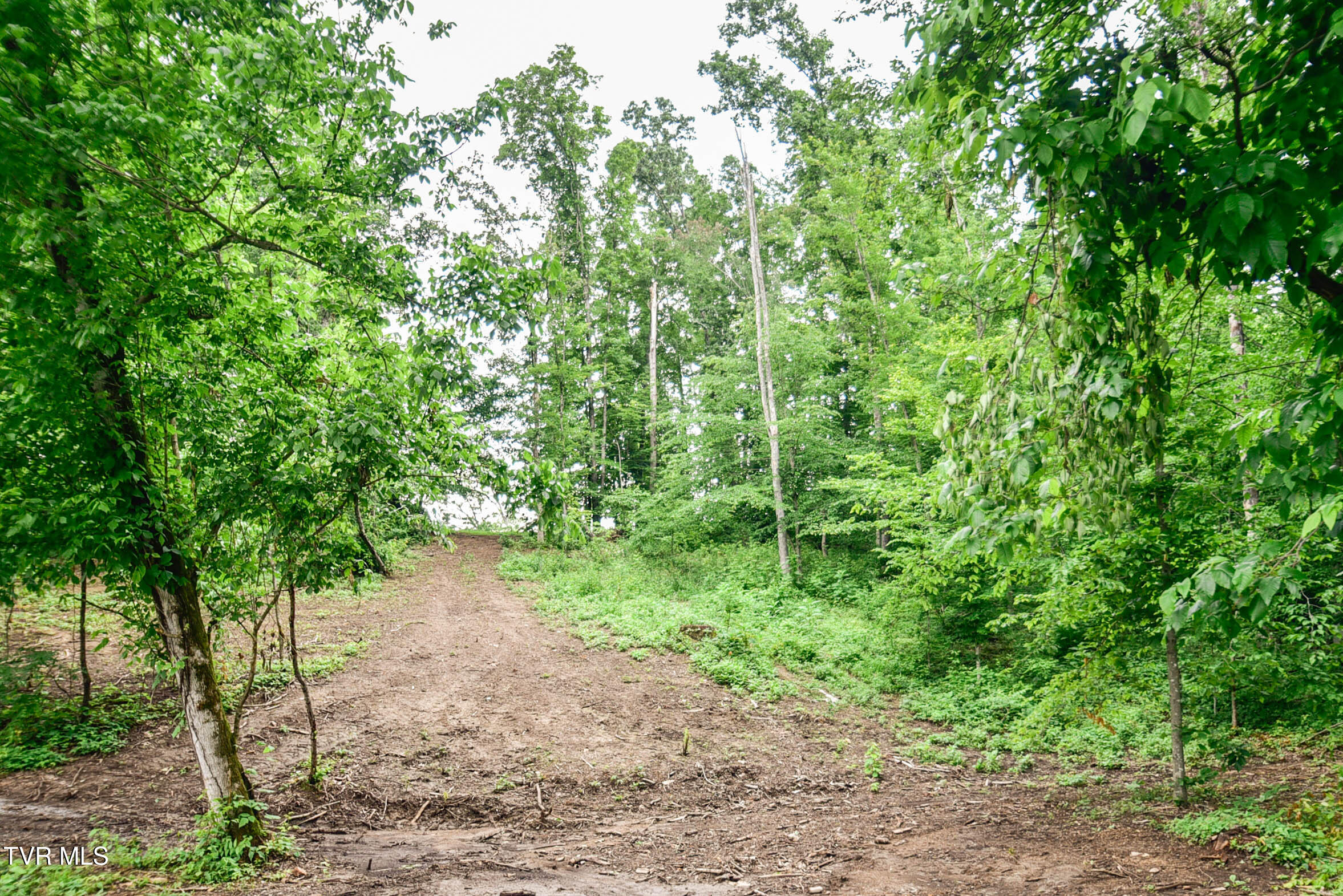 184/202 Sandidge Hollow Road, Surgoinsville, Tennessee image 37