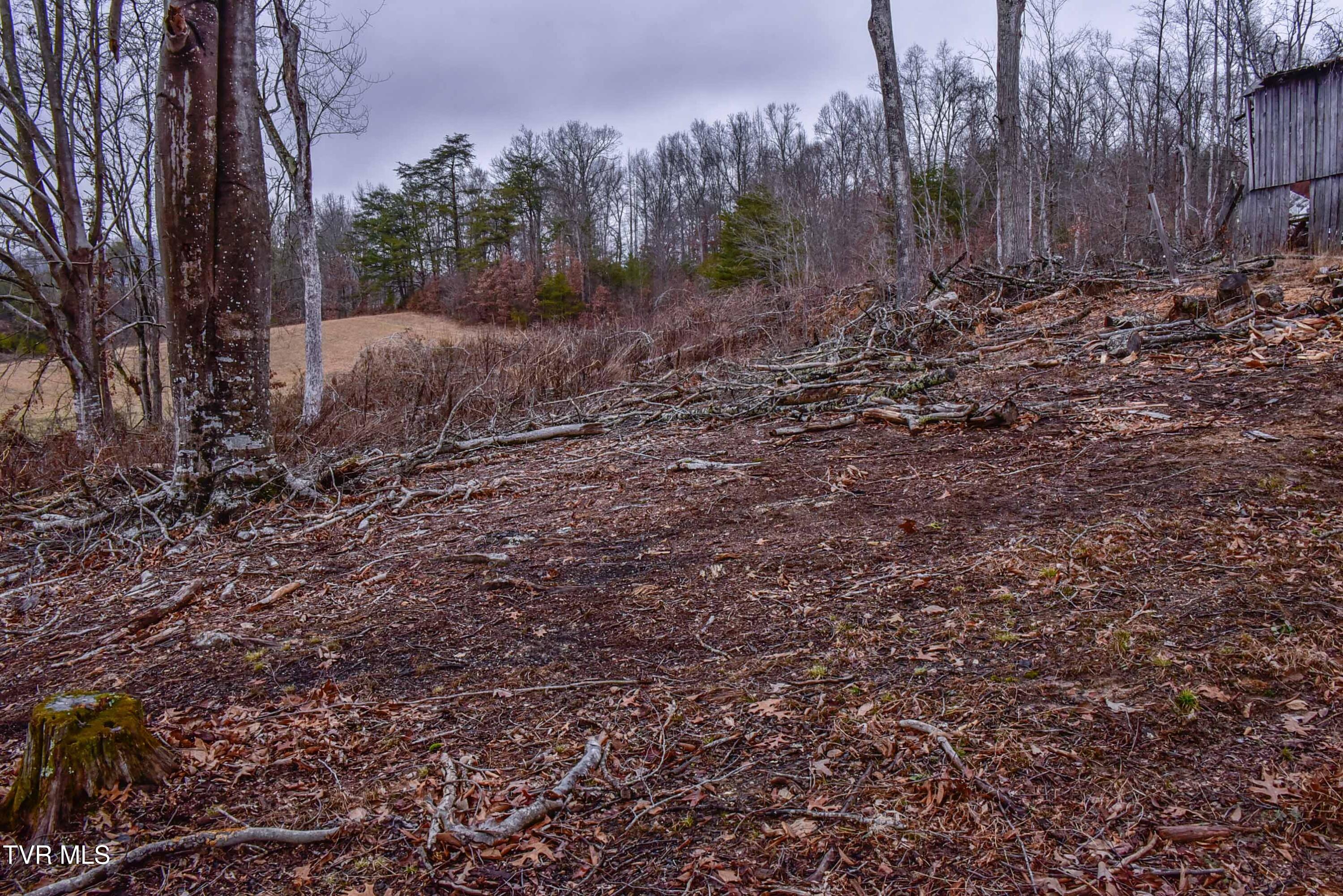 184/202 Sandidge Hollow Road, Surgoinsville, Tennessee image 29