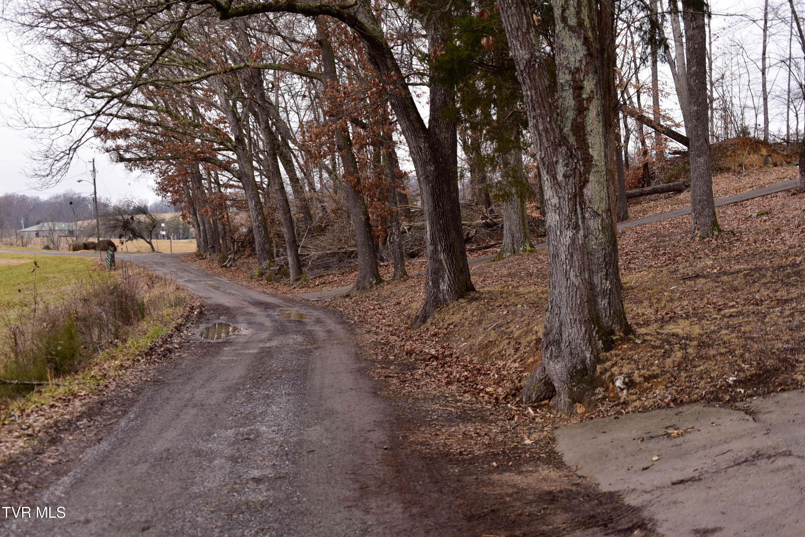 184/202 Sandidge Hollow Road, Surgoinsville, Tennessee image 35
