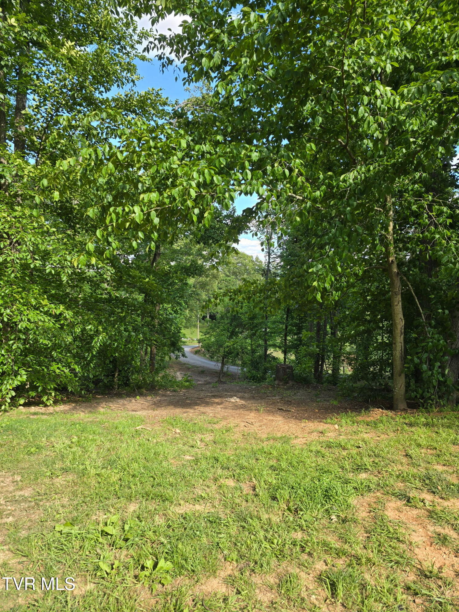 184/202 Sandidge Hollow Road, Surgoinsville, Tennessee image 38