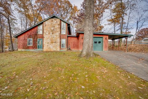 Photo of 321 Pitkin Drive, Kingsport, TN 37664 (MLS # 9988512)