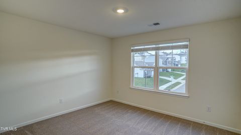 Tiny photo for 172 Tanasqui Drive, Johnson City, TN 37604 (MLS # 9986392)