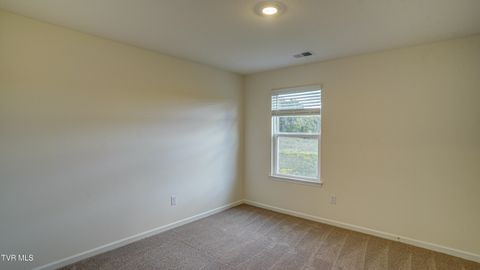 Tiny photo for 172 Tanasqui Drive, Johnson City, TN 37604 (MLS # 9986392)