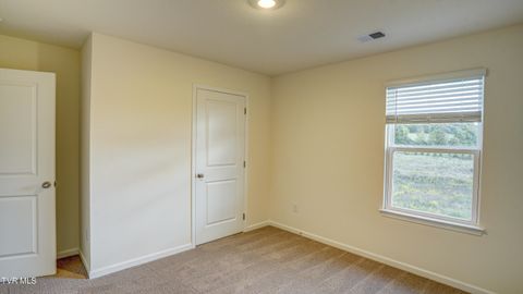 Tiny photo for 172 Tanasqui Drive, Johnson City, TN 37604 (MLS # 9986392)