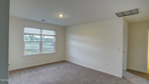 Tiny photo for 172 Tanasqui Drive, Johnson City, TN 37604 (MLS # 9986392)