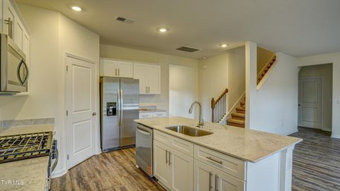 Tiny photo for 172 Tanasqui Drive, Johnson City, TN 37604 (MLS # 9986392)